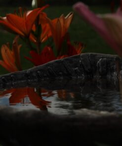 K&F Concept 58mm Variable ND Filter ND2-ND32 Camera Lens Filter (1-5 Stops) No X Cross HD Neutral Density Filter with 28 Multi-Layer Coatings Waterproof (Nano-X Series) 30 619E4ySIGVL 2