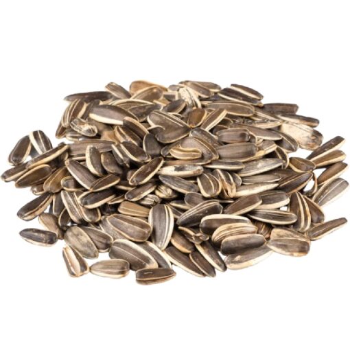 Jumbo Unsalted Sunflower Seeds In Shell by Gerbs – 2 LBS - Top 14 Food Allergen Free & NON GMO - Premium Dry Roasted Whole Sunflower Seed Jumbo Unsalted 2 Pound (Pack of 1)