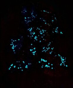 Glow in The Dark Pigment Powder - Neutral and Fluorescent Color for Art Painting, Fine Art, Nail Art Paint, and DIY Crafts - Non-Toxic, Long Lasting 10+ Color Options - Fluorescent Blue - (60 Grams) 60 Grams 43 619LnrsKc7L