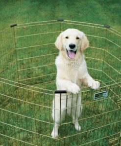 MidWest Homes for Pets Foldable Metal Dog Exercise Pen / Pet Playpen, Gold zinc w/ door, 24'W x 30'H, 1-Year Manufacturer's Warranty 30" H 32 619O5soR7VL