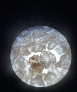 OMAX 40X-2000X LED Binocular Compound Lab Microscope w/ Double Layer Mechanical Stage + Blank Slides, Cover Slips, & Lens Cleaning Paper, M82ES-SC100-LP100 83 619Omkip7XL