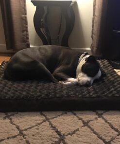 Furhaven Orthopedic Dog Bed for Large/Medium Dogs w/ Removable Washable Cover, For Dogs Up to 55 lbs - Ultra Plush Faux Fur & Suede Mattress - Chocolate, Large Ultra Plush Curly Faux Fur (Chocolate) 36.0"L x 27.0"W x 3.0"Th Orthopedic Foam 39 619ha6y1sAL 1