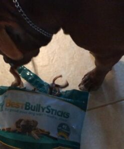 Best Bully Sticks All Natural 6 Inch Thick Bully Sticks for Large Dogs - USA Baked & Packed - 100% Free-Range Grass-Fed Beef - Single-Ingredient Grain & Rawhide Free Dog Chews - 18 Pack 6" (18 Pack) 46 619s0wtYZIL 1
