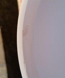 DII Kitchen Accessories Collection Ceramics, Cookie Jar, Aqua 36 619uJZoHSQL