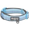 Blueberry Pet Soft & Safe 3M Reflective Neoprene Padded Adjustable Dog Collar - Baby Blue Pastel Color, Medium, Neck 14.5"-20" 36 61A09QBhk7L