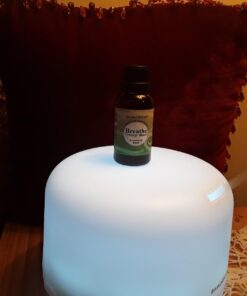 Natural Riches Breathe Essential Oil Blend Breathe Easy with Peppermint Eucalyptus Tea Tree Lemon Cardamom Pine Needle Essential Oils - 30 ml 1 Fl Oz (Pack of 1) 30 61A3AMihFzL