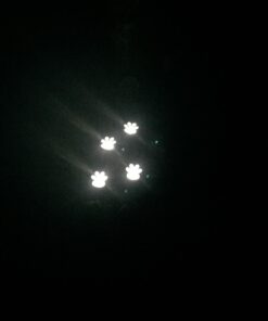 IdeaWorks JB7356 Solar Paw Print Outdoor Lights, Black 46 61A5ZM XQZL
