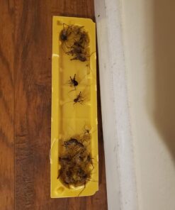 EATON J T 844 4PK Crick/Spid GlueTrap 33 61A7GEeX pL