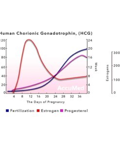 AccuMed Pregnancy Test Strips, 25-Count Individually Wrapped Pregnancy Strips, Early Home Detection Pregnancy Test Kit, Clear HCG Test 25 Count (Pack of 1) 27 61A8JZBVstL