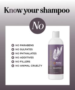 Tea Tree Shampoo for Oily Hair - Paraben and Sulfate Free Clarifying Shampoo for Build Up and Dry Scalp with Tea Tree Oil for Hair - Purifying Aromatherapy Tea Tree Oil Shampoo for Greasy Hair 22 61A9Imzab8L