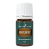 Young Living Peppermint Essential Oil 5ml - Invigorating Mint Aroma - Cooling Sensation - Can be Diffused at Work, Study, and After a Workout 0.17 Fl Oz (Pack of 1) 45 61ACZ8a5fSL