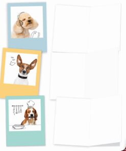The Best Card Company - 10 Blank Dog Cards Assorted (4 x 5.12 Inch) - Adorable Boxed Animal Note Cards for All Occasions - Dogs & Doodles M6582OCB 13 61AQ5Q5o1OL
