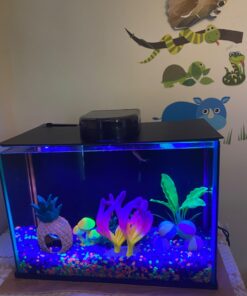 Fish Mate F14 Automatic Fish Feeder for Aquarium or Fish Tank for Vacation or Daily Use - Sits on Hood of Tank or Will Clip to Side with Included Clamps - Serves up to 14 Meals 35 61ASNeBi HL