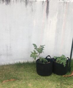 Ming Wei Garden Plant Bags / 6-Packs 5 Gallon Grow Bags/Aeration Fabric Pots/Handles (Black) Black 27 61ATSZh2IEL