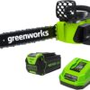Greenworks 40V 16" Brushless Cordless Chainsaw (Great For Tree Felling, Limbing, Pruning, and Firewood / 75+ Compatible Tools), 4.0Ah Battery and Charger Included 16" (4.0Ah) Gen 1