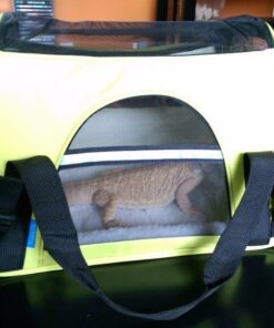 Paws & Pals Airline Approved Pet Carrier - Soft-Sided Carriers for Small Medium Cats and Dogs Air-Plane Travel On-Board Under Seat Carrying Bag with Fleece Bolster Bed for Kitten Cat Puppy Dog Taxi Green 40 61Agf2X88TL