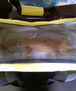 Paws & Pals Airline Approved Pet Carrier - Soft-Sided Carriers for Small Medium Cats and Dogs Air-Plane Travel On-Board Under Seat Carrying Bag with Fleece Bolster Bed for Kitten Cat Puppy Dog Taxi Green 41 61AhlRfUhlL