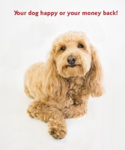 Majestic Pet Rectangle Large Dog Bed Washable – Non Slip Comfy Pet Bed – Dog Crate Bed Super Value Pillow Dog Bed – Dog Kennel Bed for Sleeping - Dog Bed Large Breed 46 x 35 Inch – Solid Khaki 46.0"L x 35.0"W x 7.0"Th 28 61Ao5secVGL