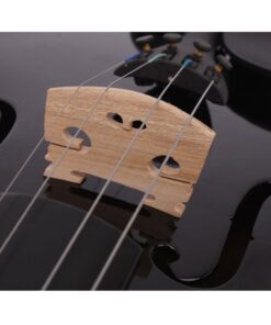 Teekland 4/4 Size Acoustic Violin for Beginner with Fiddle Case/Bow/Rosin (Black) Black 13 61AqSUL QhL