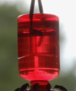 First Nature 3055 32-ounce Hummingbird Feeder 48 61AvcGUlA7L
