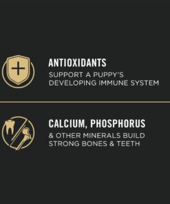 Purina Pro Plan High Protein Dry Puppy Food, Chicken and Rice Formula - 6 lb. Bag Chicken & Rice 19 61Avg4IzSL