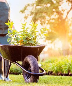 MARASTAR 20990 4.10/3.50-4" Replacement Inner Tube, Black 1 Count (Pack of 1) 4.10/3.50-4" 10 61Azi4wkfYL