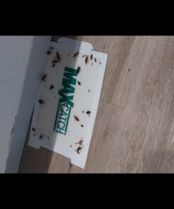 Max Catch 72 Pack Professional Strength - Mouse, Rat & Pest Glue Scented Sticky Trap for Rodents and Insects - Ready to Use Indoors - Non Toxic, No Mess, Easy Cleanup Mice Trap by Catchmaster 34 61B7 e9AtL 2