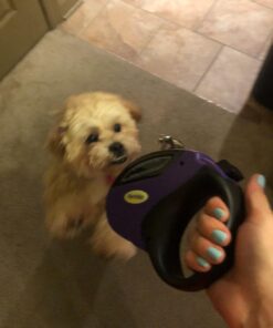 Hertzko Heavy Duty Retractable Dog Leash - Purple and Black, 16 Foot, Supports up to 110lbs - Ideal Retractable Dog Leashes for Small, Medium & Large Dogs, Heavy Duty Purple Dog Leash with Thick Rope for up to 110 LBS 29 61BJMlvgjXL