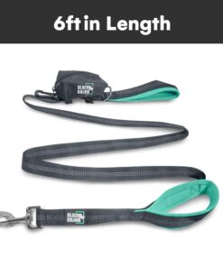 Black Rhino Dog Leash - Heavy Duty - Medium & Large Dogs | 6ft Long Leashes | Two Traffic Padded Comfort Handles for Safety Control Training - Double Handle Reflective Lead - (Aqua) Aqua 29 61BL4yoZ4eL