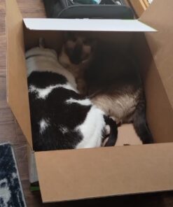 Purina Tidy Cats Litter Box System, BREEZE System Starter Kit Litter Box, Litter Pellets & Pads Original multi 62 61BLTuwVslL 3