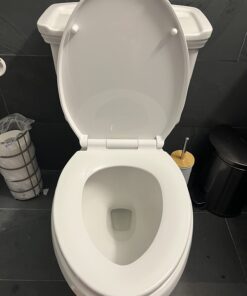 Delta Faucet Morgan Elongated Slow-Close White Toilet Seat with Non-Slip Seat Bumpers, White 811903-WH Slow Close 35 61BPk3tKcfL