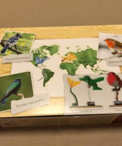 LEGO Ideas 21301 Birds Model Kit 45 61BQLYh D8L