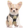 rabbitgoo Dog Harness, No-Pull Pet Harness with 2 Leash Clips, Adjustable Soft Padded Dog Vest, Reflective No-Choke Pet Oxford Vest with Easy Control Handle for Small Dogs, Beige, S 15 61BRfwWHh9L