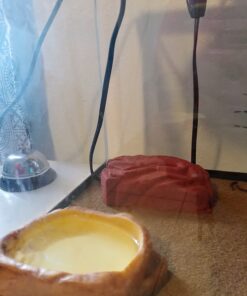 Zoo Med Repticare Rock Heater 1 Count (Pack of 1) 10 61BWoUSZbfL