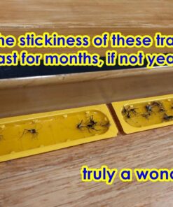 EATON J T 844 4PK Crick/Spid GlueTrap 22 61BaL331OL