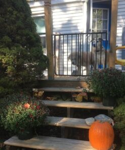 Cardinal Gates SS30OD Outdoor Baby Gate for Stairs - Adjustable Outdoor Dog Gate - Aluminum Safety Gate for Kids & Pets - Can be Installed at Angles - 27 to 42.5 Inches Wide - Black 40 61Bd1cpboYL