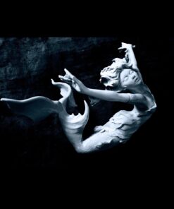 Apoxie Sculpt - 2 Part Modeling Compound (A & B) - 4 Pound, White 32 61BdR898VpL