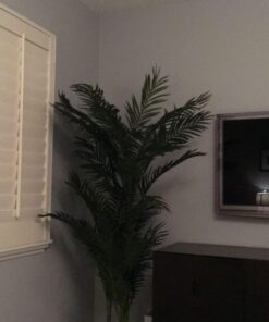 Nearly Natural 5289 6.5ft. Golden Cane Palm Silk Tree,Green 38 61BoXczM2QL