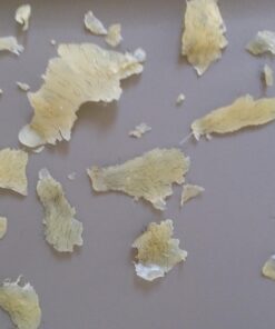 Gigi Brazilian Waxing Kit, 14 Ounce Brazilian Essentials 37 61BqHZr6xyL