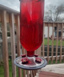 Perky-Pet 8109-2 Antique Glass Bottle Hummingbird Feeder-16-Ounce Capacity, Red beige 1 Count (Pack of 1) Elegant 29 61Bsb9n l5L