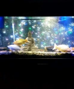 BN-LINK Digital Timer Outlet 24-Hour Programmable Digital Outlet Timer with 2 Independent Outlets 3-Prong Mini Indoor Easy Set Stackable Plug-in for Lights Lamps Fans Accurate 8A/1000W 1/3HP 3 prong 40 61BwQaK8g L