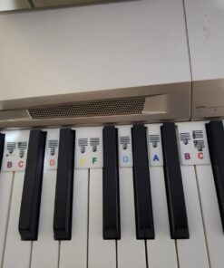 Best Choice Products 38in Beginner All Wood Acoustic Guitar Starter Kit w/Gig Bag, Digital Tuner, 6 Celluloid Picks, Nylon Strings, Capo, Cloth, Strap w/Pick Holder - Natural 29 61BxGHDUK7L