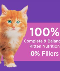 IAMS PROACTIVE HEALTH Healthy Kitten Dry Cat Food with Chicken Cat Kibble, 16 lb. Bag Dry Food 16.00 Pound (Pack of 1) 29 61BzbyjCtRL