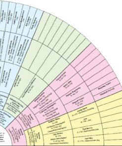 Individual Software Family Tree Heritage Platinum 9 PC Disc No 13 61C 9cxyUIL