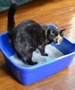 Van Ness Pets Large Open High Sided Cat Litter Box, Blue, CP2HS Pack of 1 24 61C1j9sNvJL