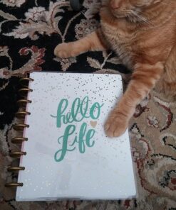 me & my BIG ideas Create 365 The Happy Planner, Hello Life, Jul 2016 - Dec 2017 41 61C3ZNSVwvL