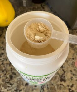 Orgain Organic Vegan Protein Powder, Vanilla Bean - 21g Plant Based Protein, Gluten Free, Dairy Free, Lactose Free, Soy Free, No Sugar Added, Kosher, For Smoothies & Shakes - 2.03lb 20 Servings (Pack of 1) 35 61CASO8dSvL