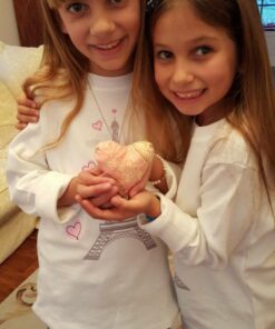 Dr. Bronner's - Pure-Castile Liquid Soap (Baby Unscented, 32 ounce) - Made with Organic Oils, 18-in-1 Uses: Face, Hair, Laundry and Dishes, For Sensitive Skin & Babies, No Added Fragrance, Vegan 32 Fl Oz (Pack of 1) 36 61CM4bYgiqL 1