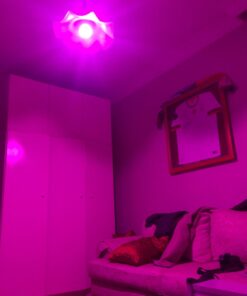 FluxSmart Bluetooth Light Bulb, Smart LED Bulb, Dimmable Smart Bulb, Smartphone-Controlled Hue Bulb with 16 Million Color Options, Compatible with iOS and Android Devices, 7W, A19, E26 Base 60 Watt Equivalent - Classic 29 61CVOD5FpfL