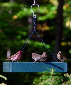 Woodlink Going Green Platform Bird Feeder Model GGPLAT 42 61Cd yBvJKL